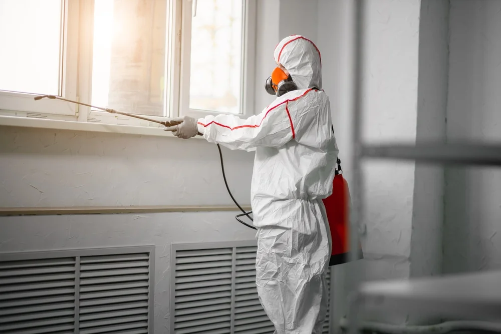 Professional mold remediation services in Rosendale, WI